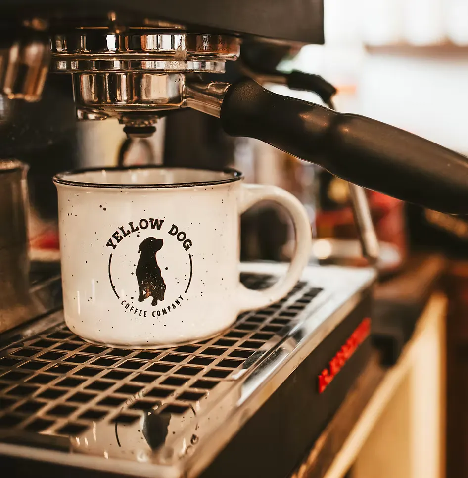 Yellow Dog Coffee Company business background image
